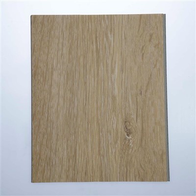 การเคลือบเอ๊กไซเมอร์